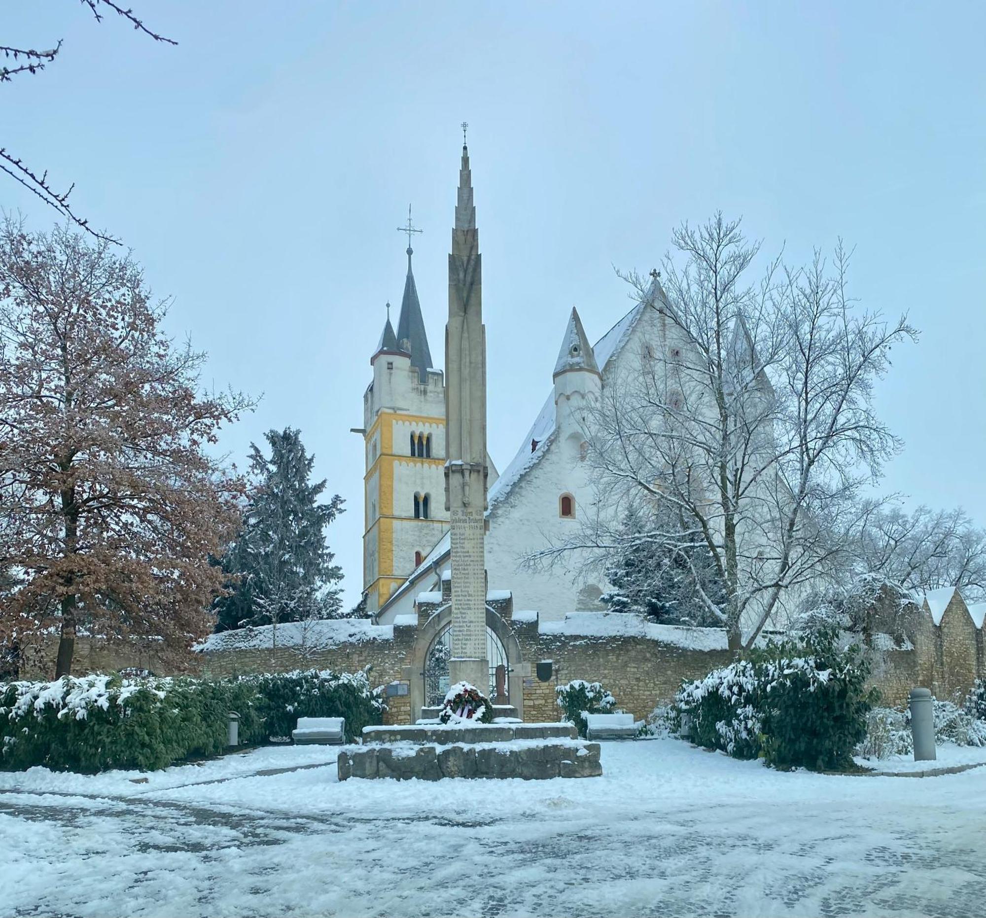 Haeuschen Am Plenzer Villa Ingelheim am Rhein Kültér fotó
